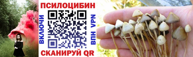 как найти закладки  mega ONION  Псилоцибиновые грибы ЛСД  Волгодонск 