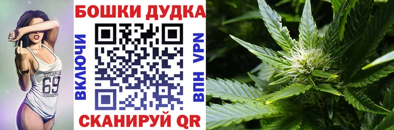 hydra ССЫЛКА  Волгодонск  Шишки марихуана ГИДРОПОН 
